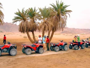 Quad bike trip