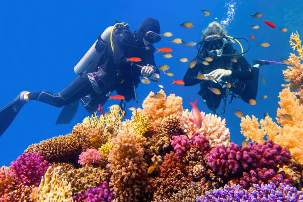 Diving in the Red Sea Hurghada 