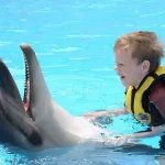 A child hugs a dolphin while swimming with.