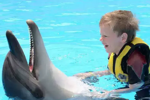 A child hugs a dolphin while swimming with.