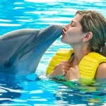 Manolo Tours Egypt private duo dolphin swimming experience.