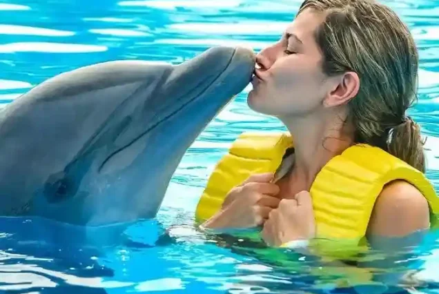 Manolo Tours Egypt private duo dolphin swimming experience.