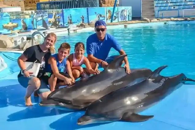 Individual 1-on-1 dolphin swimming program with expert trainers.