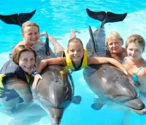 Happy family playing and dancing with a dolphin in Hurghada.