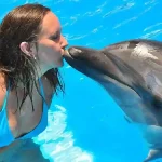 Romantic duo dolphin swimming package for couples in Hurghada.