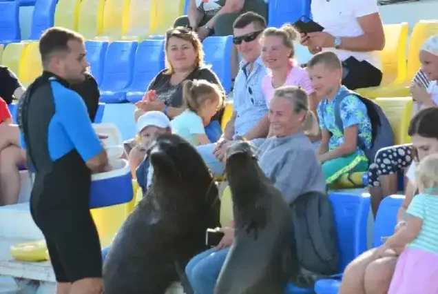 Manolo Tours Egypt high-quality service for Hurghada family excursions.