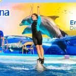 Best Dolphin Show Hurghada tour at Makadi Bay amphitheater.