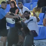 Tourists taking photos with dolphins after the show.