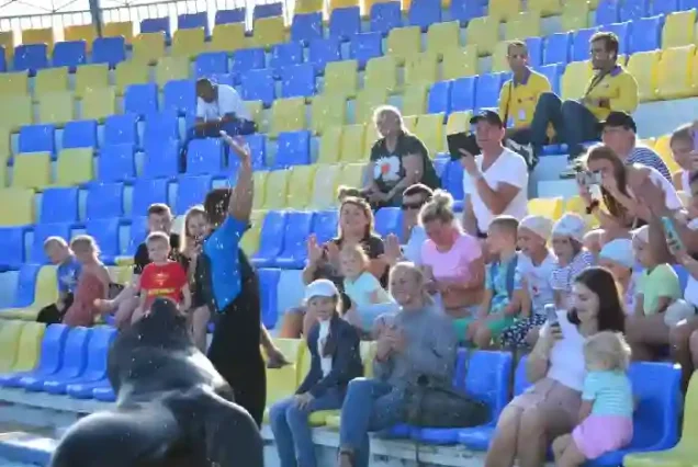 Happy children watching dolphins during Hurghada day trip.