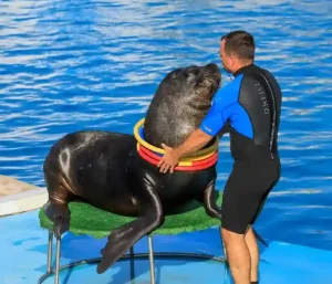 Educational marine life experience for kids at Dolphin World Egypt.