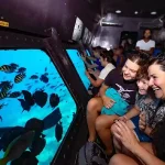 Family-friendly underwater exploration in Hurghada with Sea Scope.