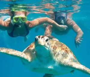 Best Abu Dabab tour from Hurghada private snorkeling experience.