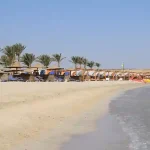 Comfortable sunbeds and umbrellas at Abu Dabab beach resort.