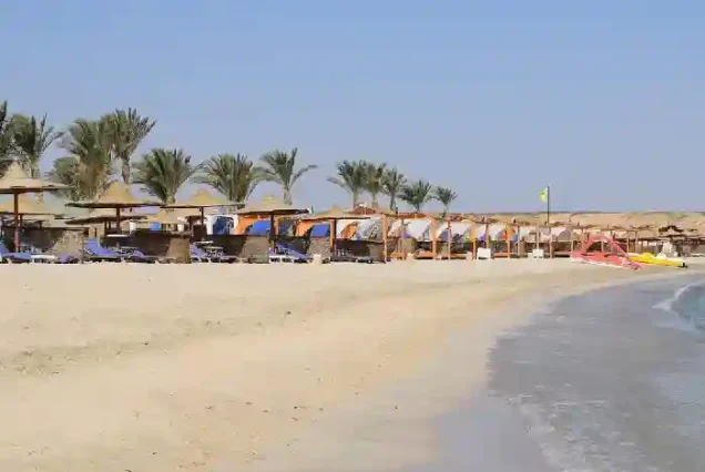 Comfortable sunbeds and umbrellas at Abu Dabab beach resort.