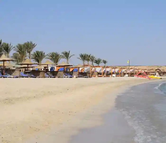 Comfortable sunbeds and umbrellas at Abu Dabab beach resort.