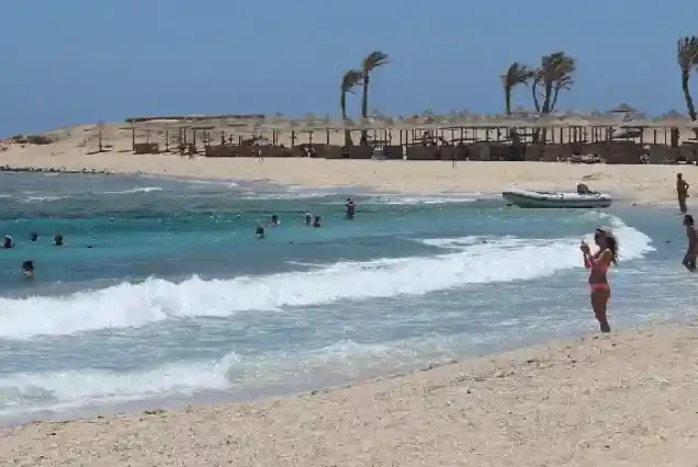 Tourists taking close-up photos of sea turtles in the Red Sea.