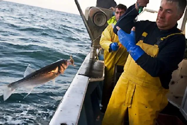 Exclusive private boat for fishing trips in Hurghada with professional crew