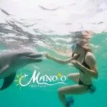 Stunning coral reef gardens at the Dolphin House sanctuary.