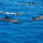 Group of friends enjoying the sun on the boat deck in Egypt.