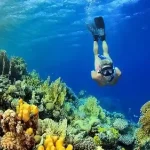 Dolphin tour Hurghada 3 premium snorkeling spots experience.