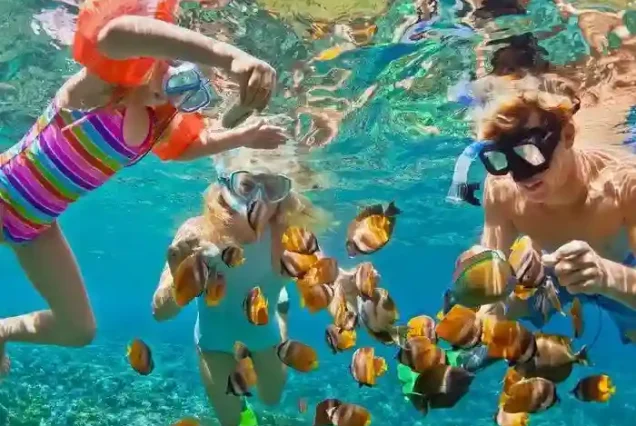 Happy tourists snorkeling with colorful fish in the Red Sea.