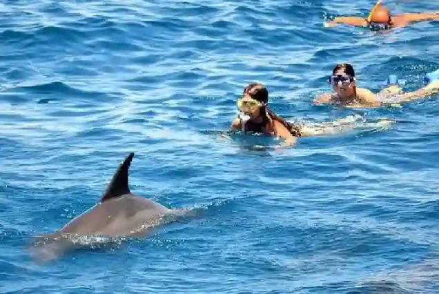 Aerial view of the Dolphin House lagoons in the Red Sea.
