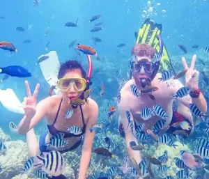 Snorkeling with colorful fish on private speedboat Hurghada.