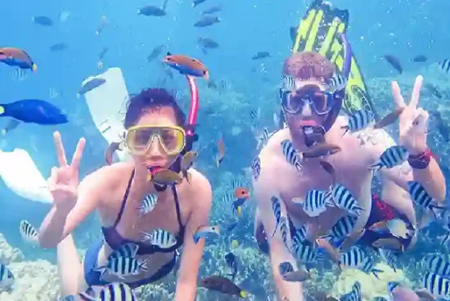 Snorkeling with colorful fish on private speedboat Hurghada.