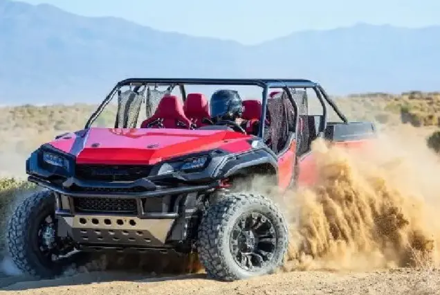 3-Hour Private Dune Buggy Safari