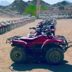 quad bikes_