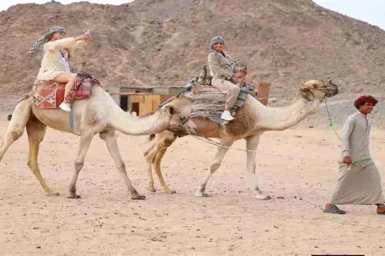 Camel riding- hurghada