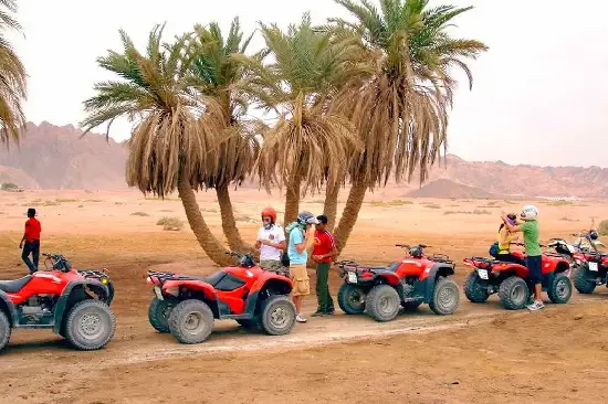 safari quad bike tour