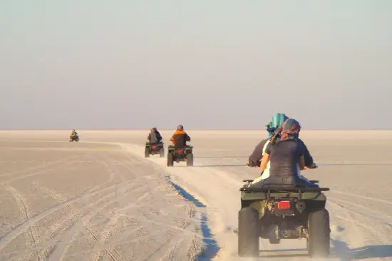 A Bedouin boy serves tea to guests in the desert.- manolo tours egypt