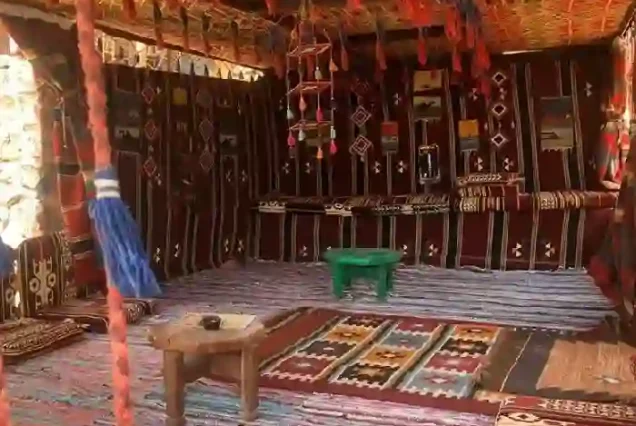 Exotic Red Sea fish during a snorkeling stop in Hurghada.