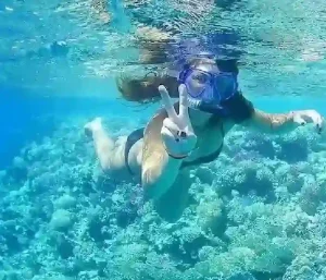 Sea turtle spotted during snorkeling stop at Giftun Island.