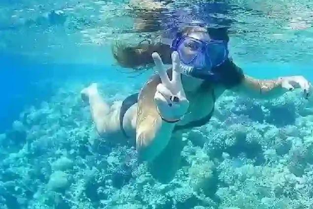 Sea turtle spotted during snorkeling stop at Giftun Island.