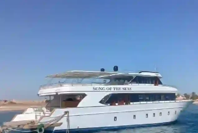 Manolo Tours professional boat for Paradise Island excursion.