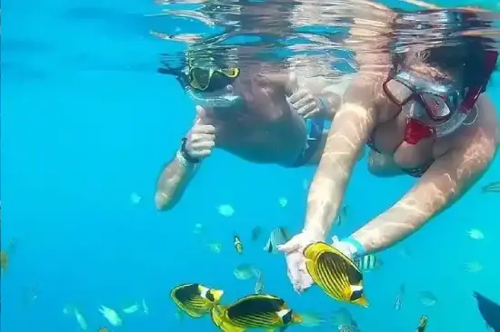 Vibrant Coral Reefs Snorkeling Spot near Hurghada