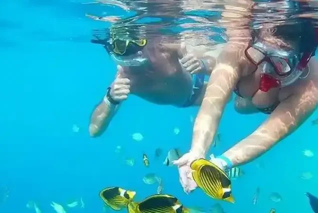 snorkling tour with speed boat hurghada