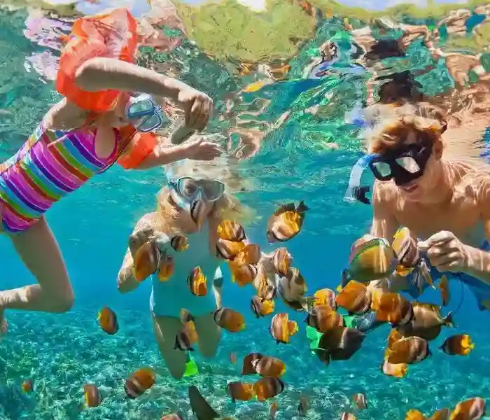 Coral Reef and Snorkeling Tour Manolo Tours- Hurghada's