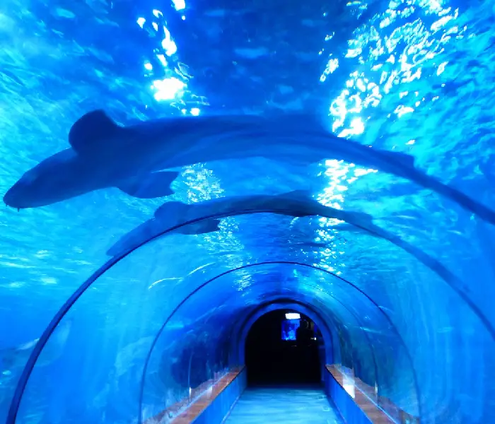 Hurghada Grand Aquarium tour with Manolo Tours