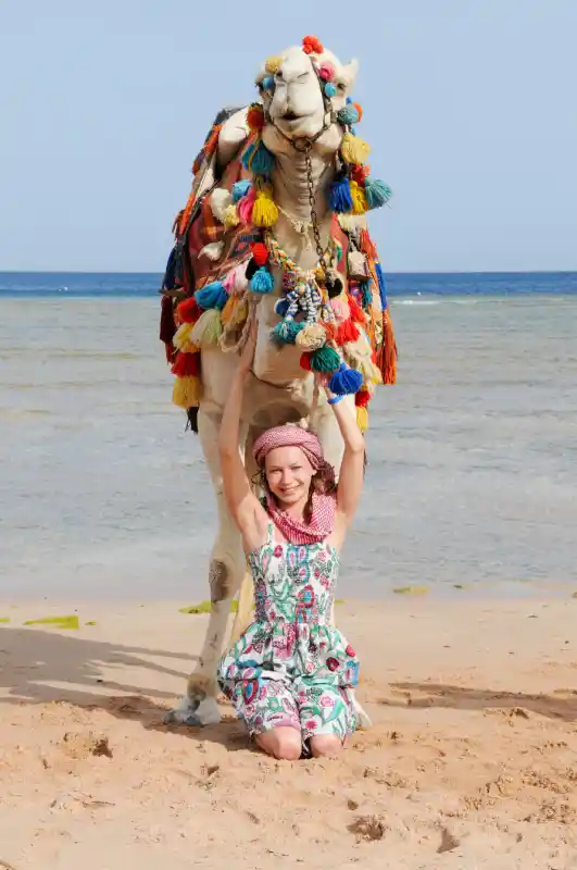 Traditional camel riding on Hurghada beach
