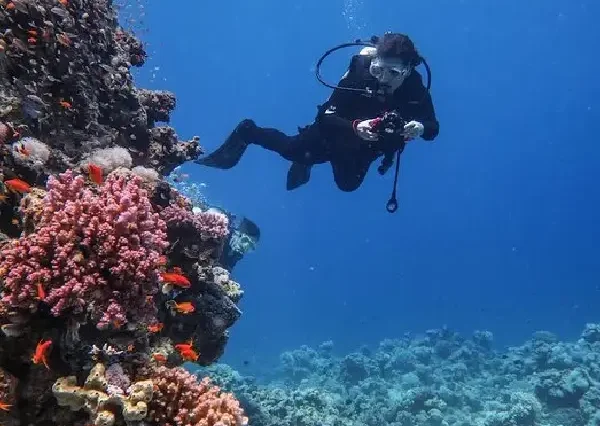 Best Diving tour in Hurghada for beginners Red Sea exploration.