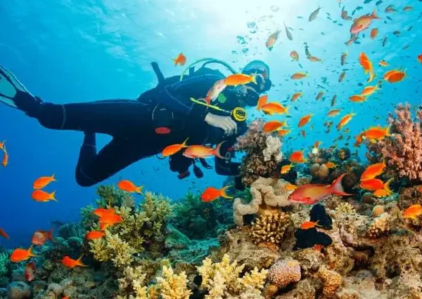 Professional scuba diving gear mask fins and tanks Hurghada.