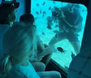 Manolo Tours tourists watching fish through Conquest glass bottom boat.