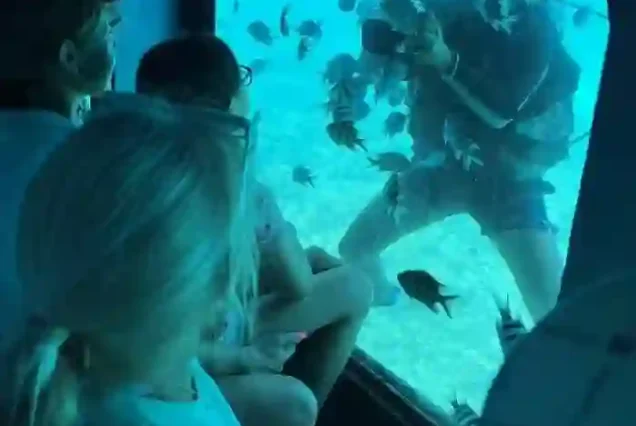 Manolo Tours tourists watching fish through Conquest glass bottom boat.