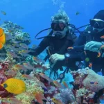 Daily Scuba Diving Trip in Hurghada Red Sea with Professional Instructors - Manolo Tours