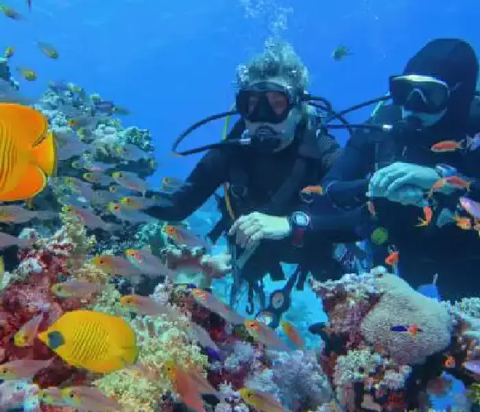 Daily Scuba Diving Trip in Hurghada Red Sea with Professional Instructors - Manolo Tours