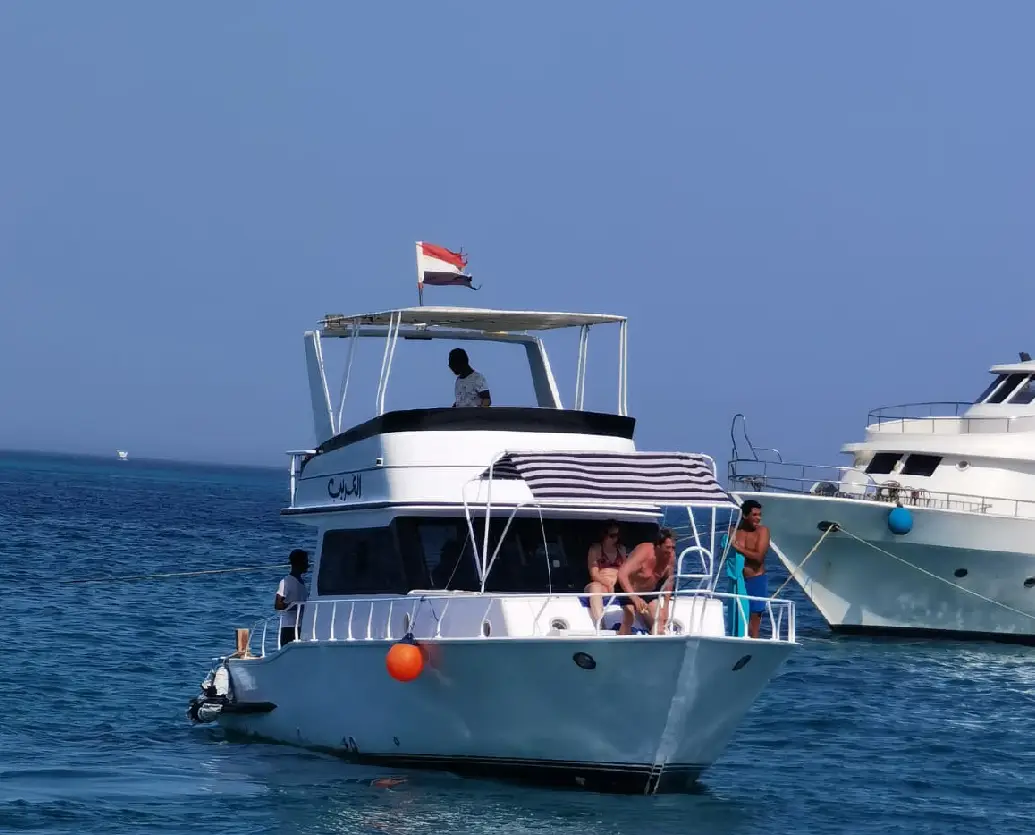 Private boat trip Hurghada - Full day snorkeling, dolphin spotting and fishing