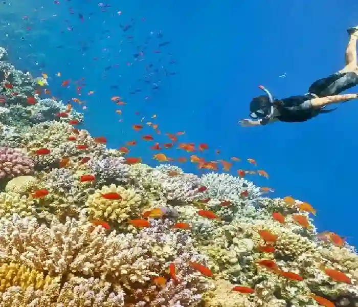 Snorkeling in the picturesque waters of Hurghada